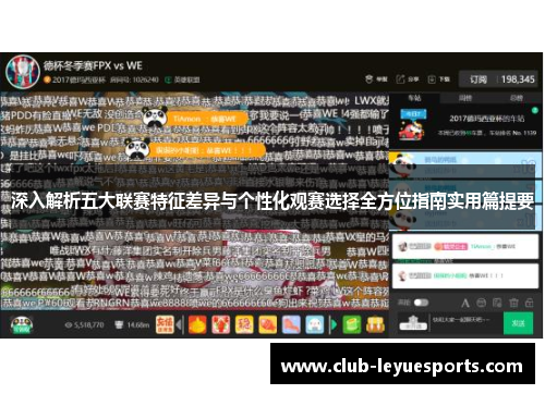 深入解析五大联赛特征差异与个性化观赛选择全方位指南实用篇提要