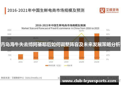 青岛海牛失去博阿基耶后如何调整阵容及未来发展策略分析 青岛海牛失去博阿基耶后如何调整阵容及未来发展策略分析