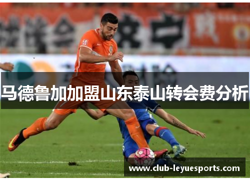 马德鲁加加盟山东泰山转会费分析
