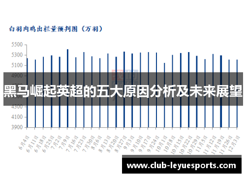 黑马崛起英超的五大原因分析及未来展望